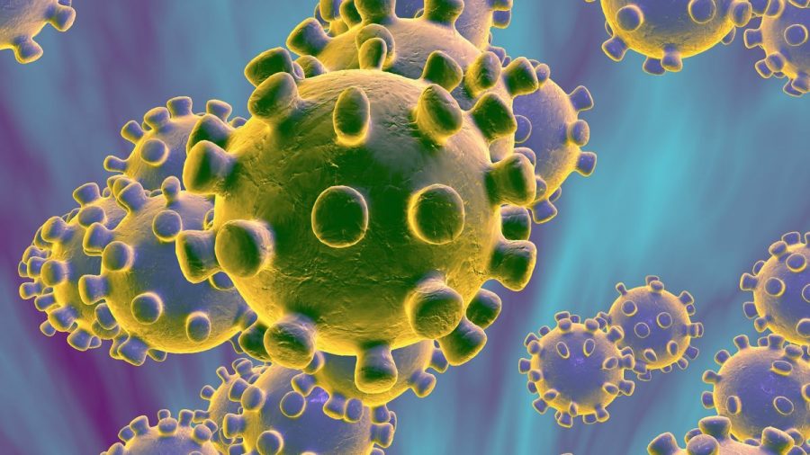 What is the Coronavirus?