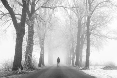 A single person standing on foggy road.

[url=file_search.php?action=file&lightboxID=6396980][img]http://www.kulicki.com/agencja/images/trees.jpg[/img][/url]
[url=file_search.php?action=file&lightboxID=8634685][img]http://www.kulicki.com/agencja/images/winter.jpg[/img][/url]