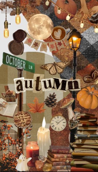 Fall Social Media Trends